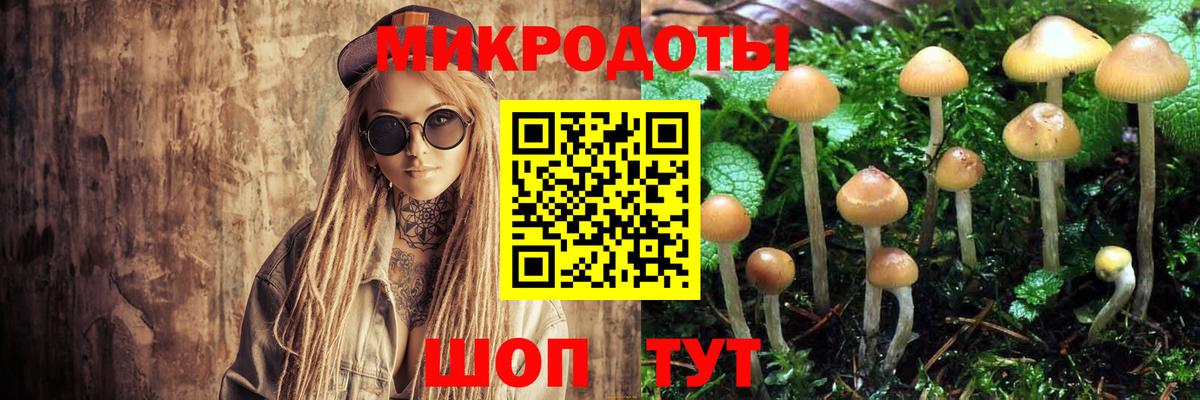 Галлюциногенные грибы мицелий Ртищево